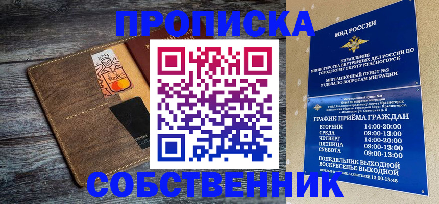 временная регистрация надежно в Мурманске